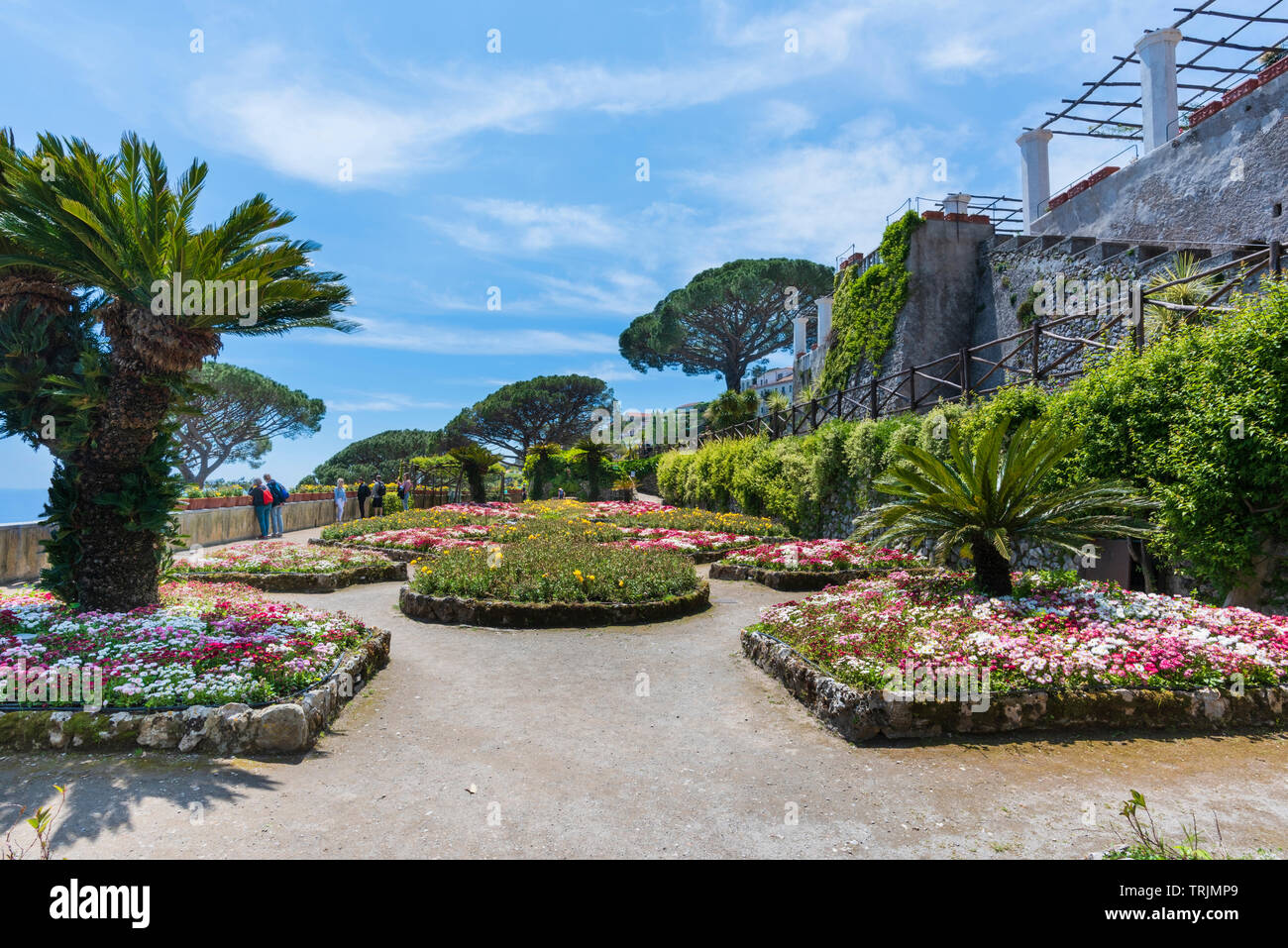 Aiuole formali su una terrazza in Villa Giardini Rufolo a Ravello in Campania Italia Meridionale Foto Stock