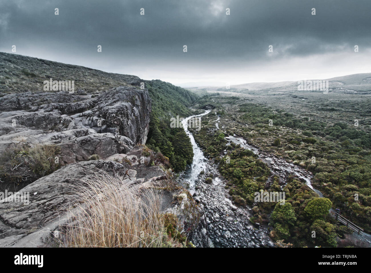 Parco nazionale di Tongariro, Isola del nord, Nuova Zelanda - Vista dalla cima del Taranaki cade Foto Stock