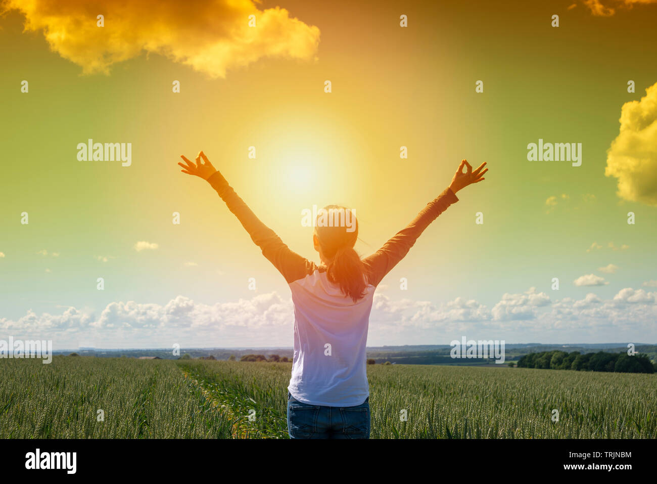 Vista posteriore di una donna ad alba con le braccia sollevate in gioia e libertà in piedi in un campo di grano Foto Stock