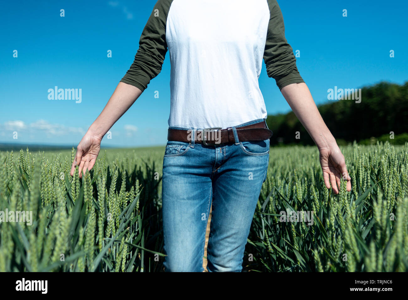La donna in esecuzione le sue mani attraverso la maturazione del grano in un campo vicino. Foto Stock
