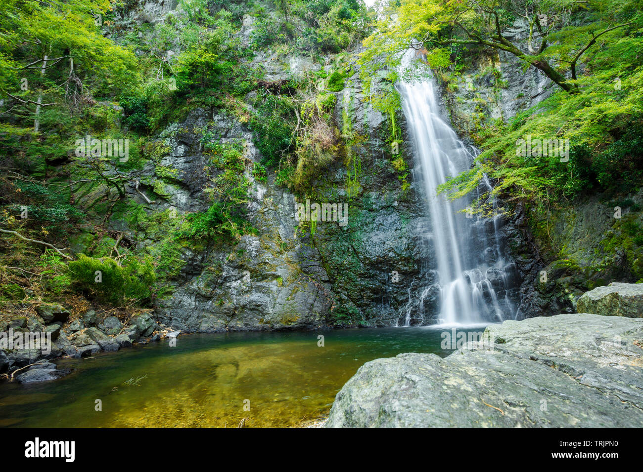 La cascata Foto Stock