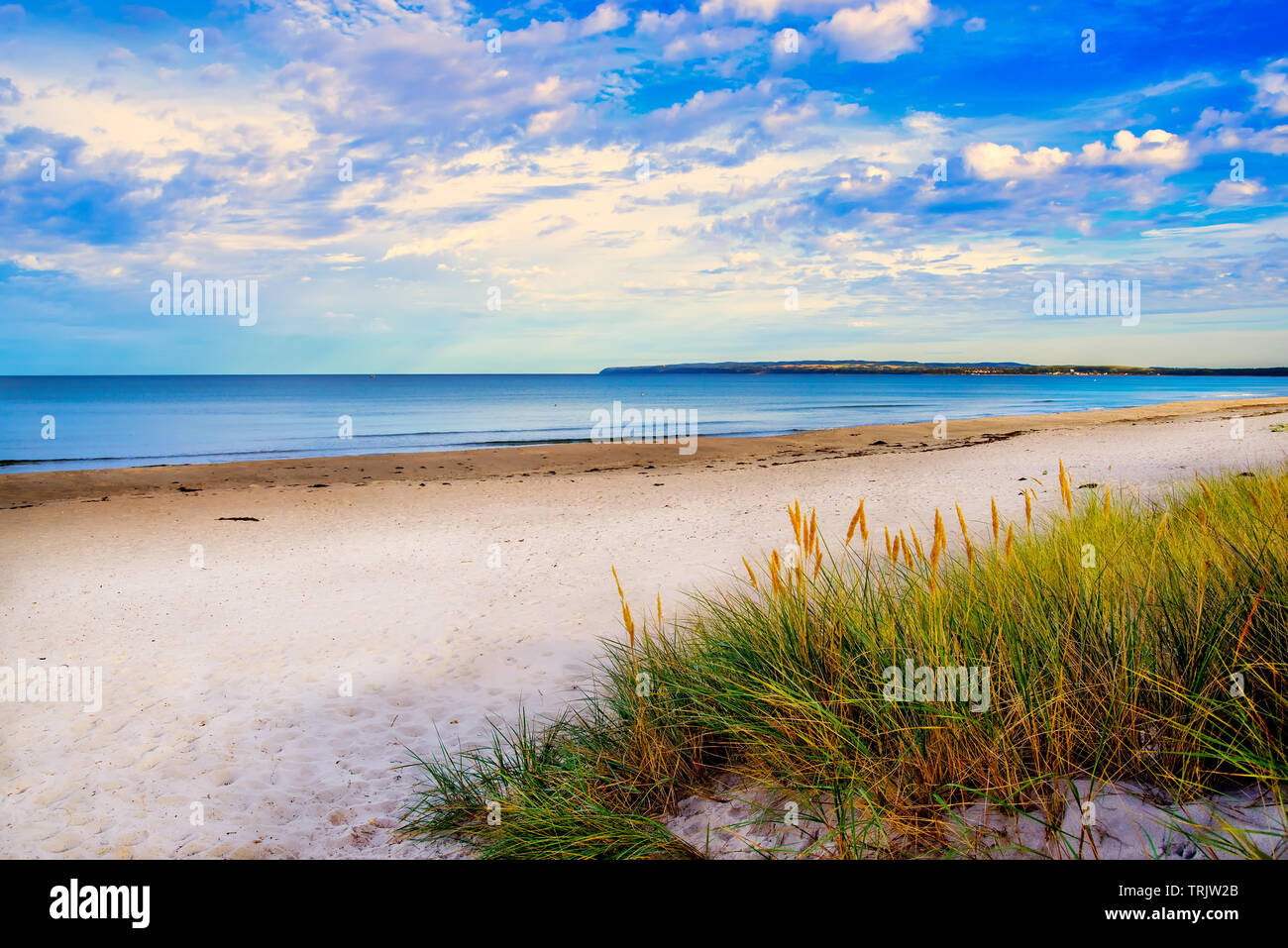 Spiaggia idilliaco paesaggio di Rügen- Dranske, Mar Baltico, Germania, Europa Foto Stock