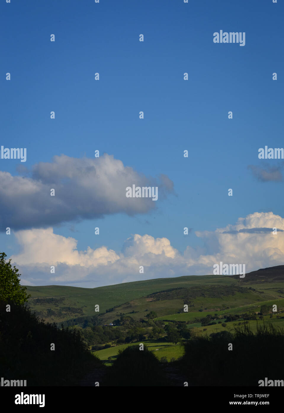 Paesaggio gallese fotografia della gamma Clwydian delle montagne del nord del Galles che guarda verso Moel Famaua, Snowdon e Snowdonia Foto Stock