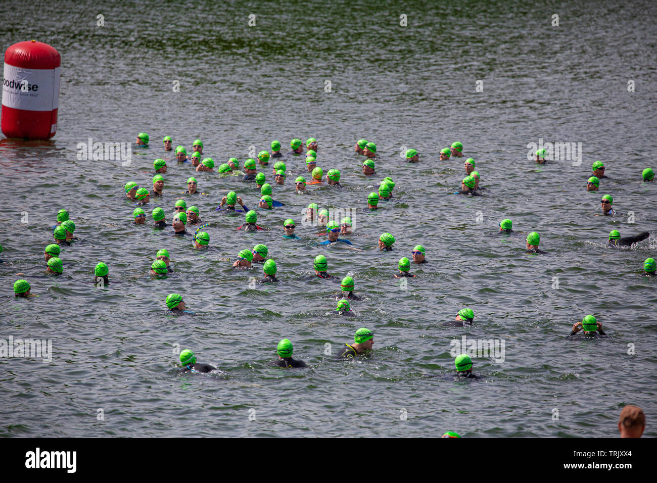 1 Giugno 2019 - Triatleti capi bobbing in un lago a 1 stadio nuoto sezione a un triathlon evento tenutosi presso il Palazzo di Blenheim, Oxfordshire, Regno Unito Foto Stock
