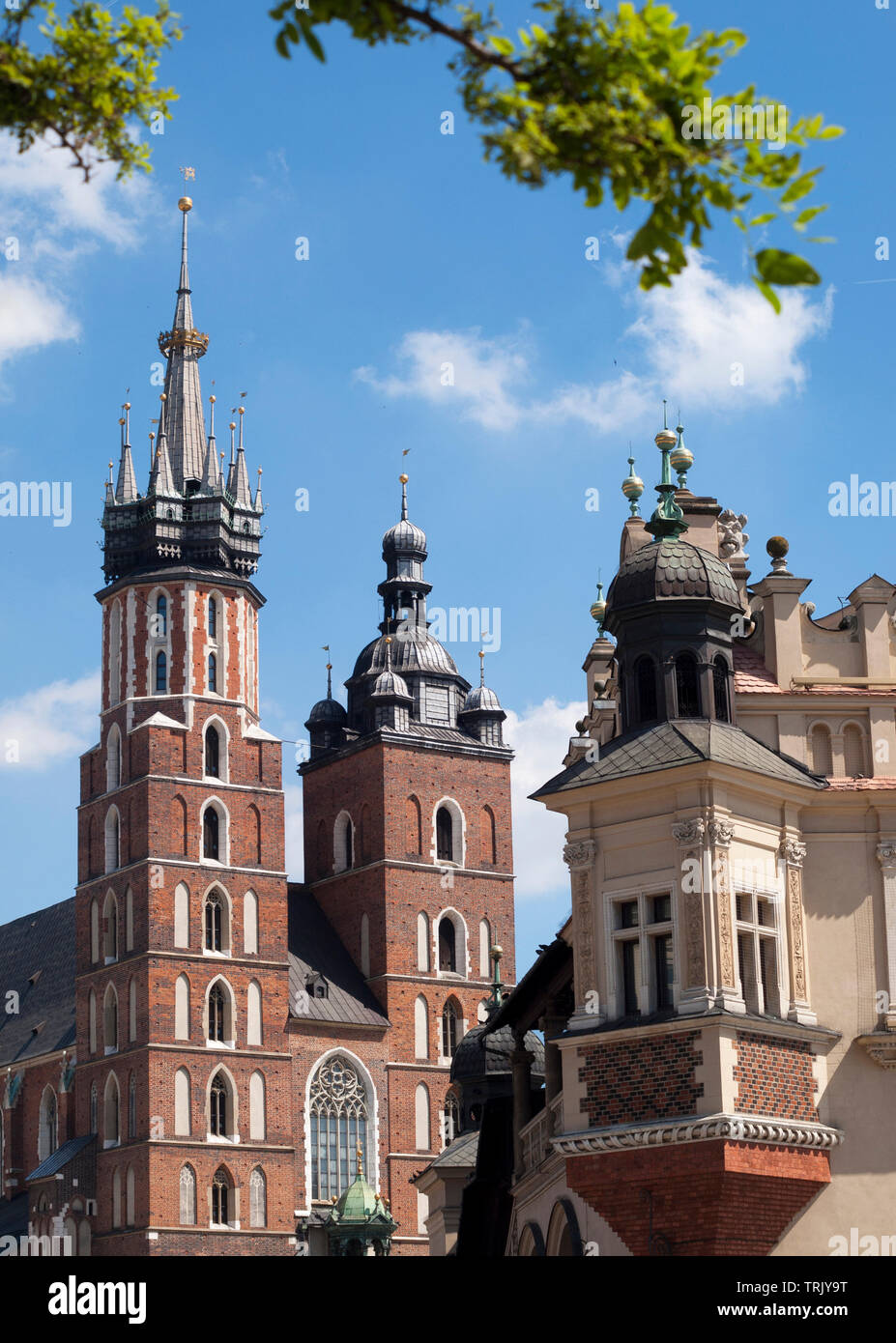 Santa Maria la Basilica (Chiesa della Madonna Assunta in Cielo) in Cracovia sulla piazza principale e una parte di panno Hall di fronte. Albero verde confine Foto Stock