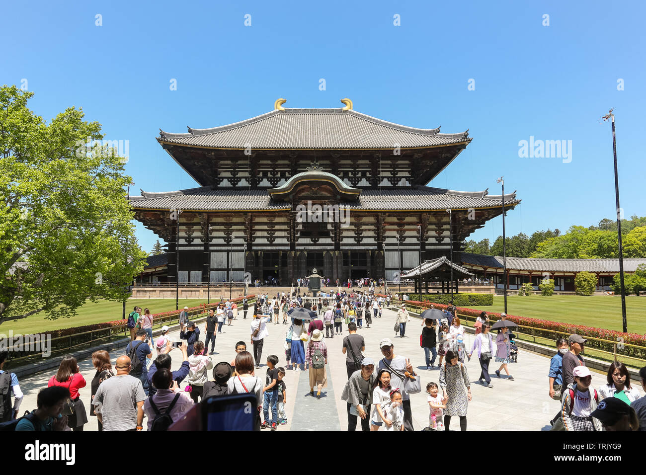 NARA, Kansai, Giappone - 04 Maggio 2019: Tempio di Todai-ji (grande tempio orientale) è il tempio buddista a Nara, Giappone, è il più grande buildingin in legno del mondo. Foto Stock