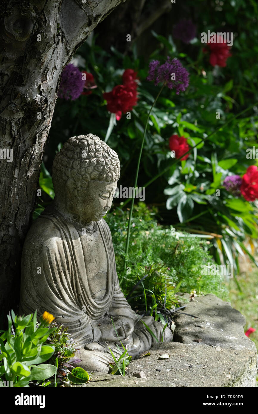 Pensieri di Buddha sotto l'albero Foto Stock
