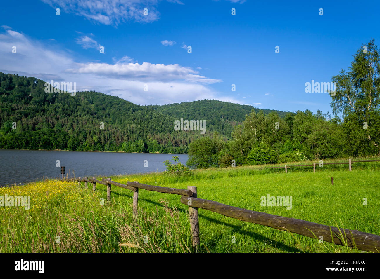 Il lago è circondato da montagne e prati. Foto Stock