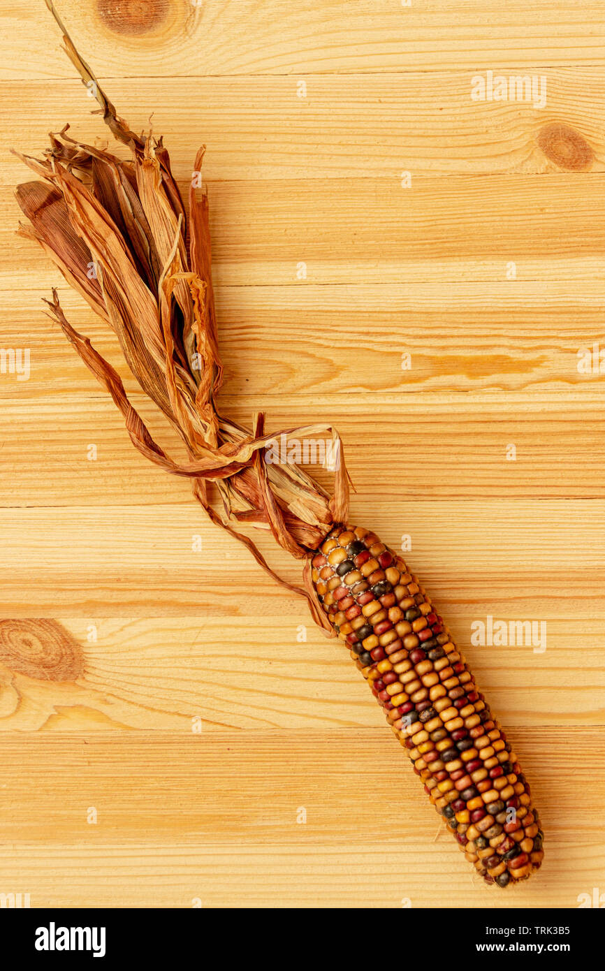 Un colore di mais vitreo giace su un golden pine tavolo. Foto Stock