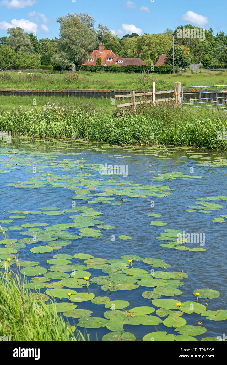 Fiume Rother, Kent, Regno Unito Foto Stock