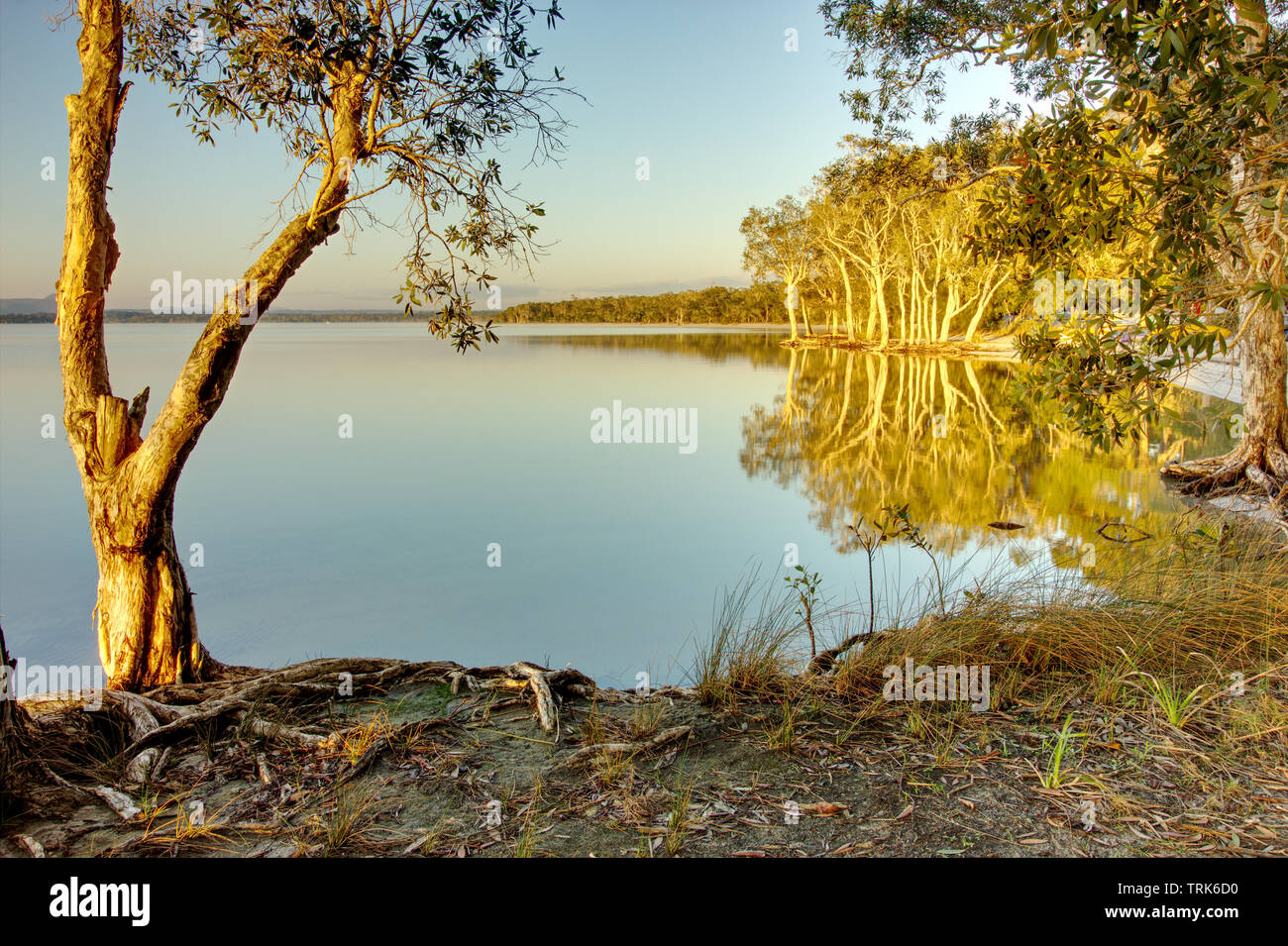 Estate alba sul lago Cootharaba vicino Boreen Point sulla costa del sole di Australia Foto Stock