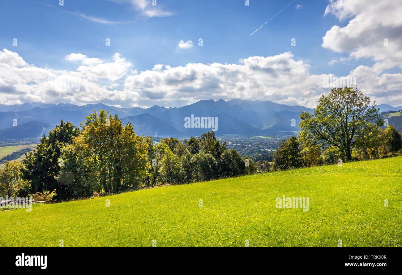 Estate panorama di montagne Tatry e monte Giewont, frazioni di Zakopane città, Polonia meridionale Foto Stock