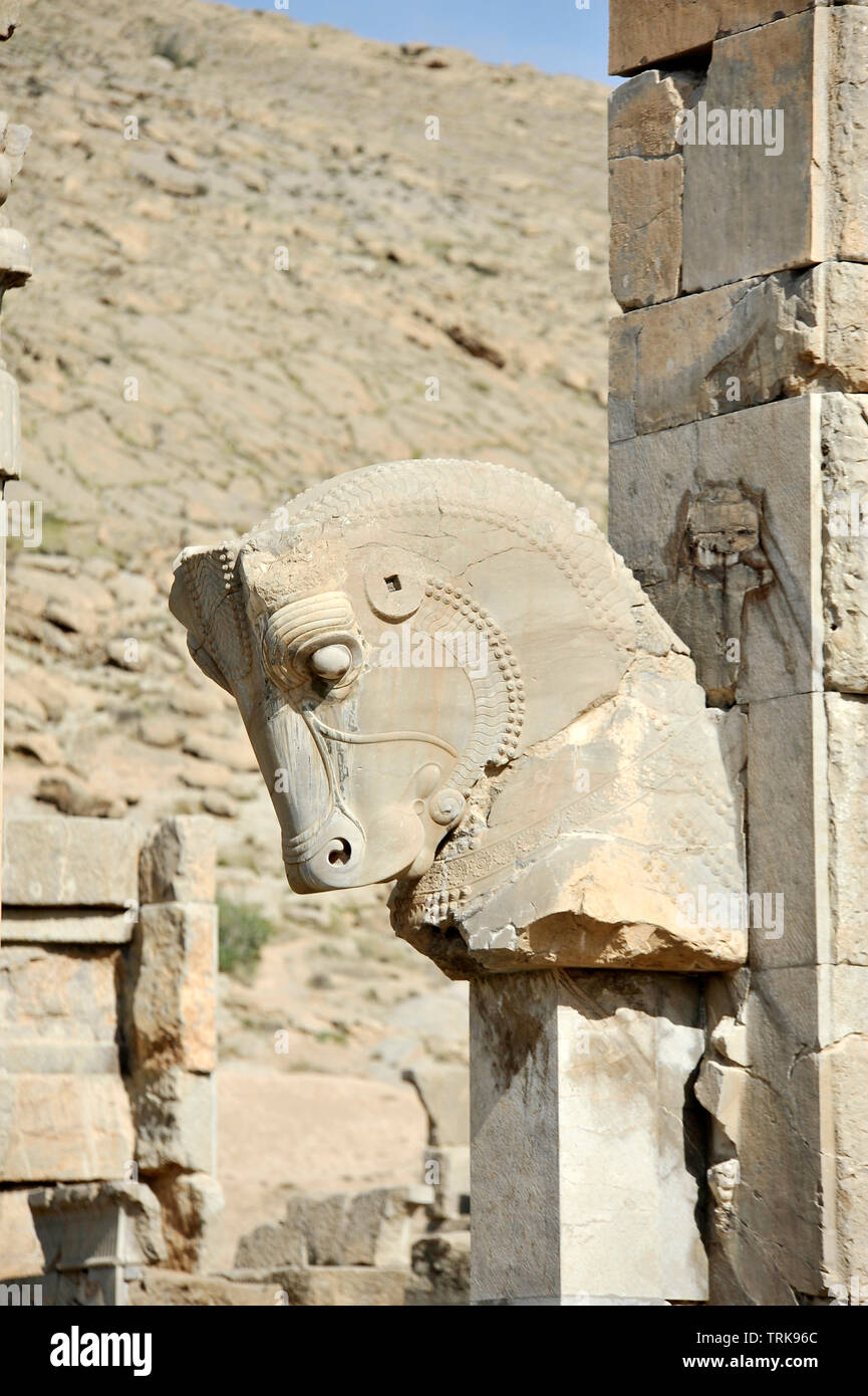 Cavallo persiano scultura. Pilastri del palazzo Apadane. Persepolis, Shiraz - Iran Foto Stock