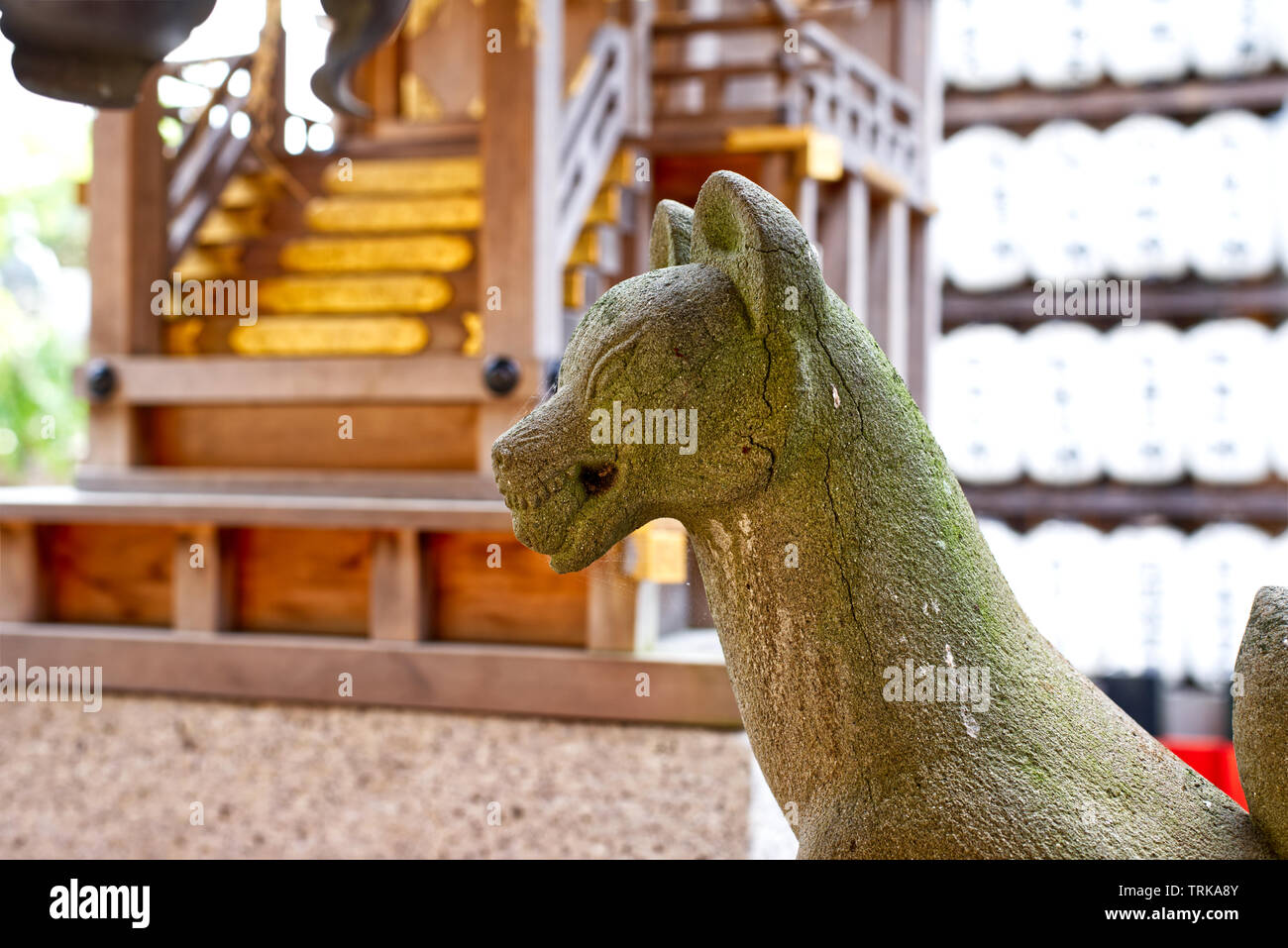 Una statua di pietra di una volpe a Wani Ontakeyama Santuario in Otsu, Giappone. Foto Stock