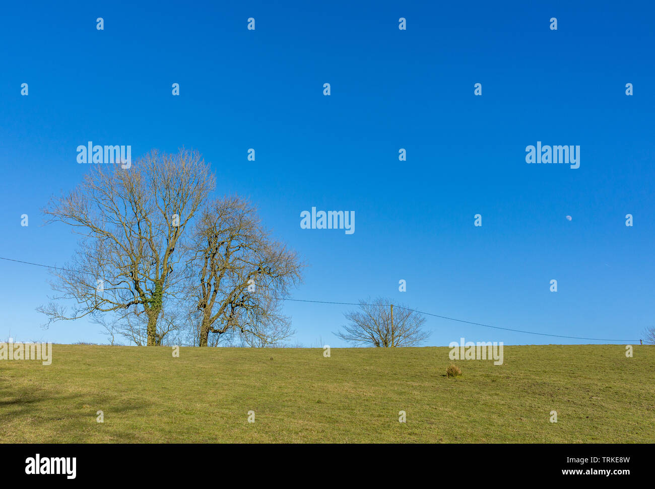 Campagna inglese in estate, campo e alberi contro il cielo blu e chiaro. Marple, Cheshire, Regno Unito. Foto Stock