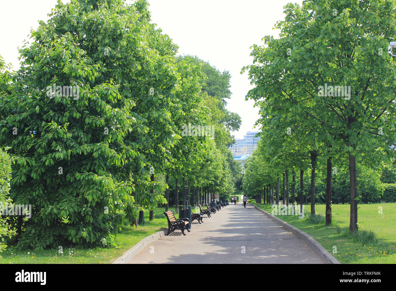 Accogliente park road in estate.Il parco della città con n. di persone Foto Stock