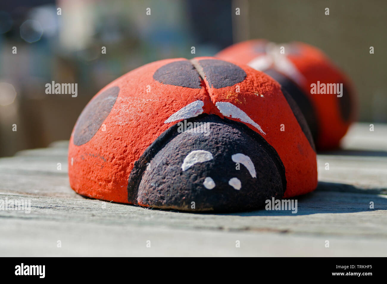 Bello e colorato stone ladybugs appoggiato su un tavolo in un mercato in una giornata di sole Foto Stock