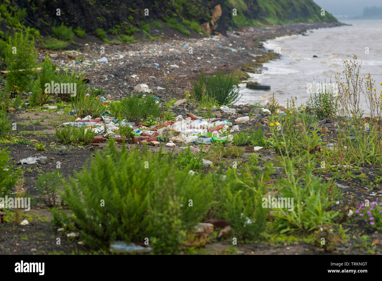 Bottiglie di plastica e di altri rifiuti sulla riva del mare del Giappone vicino a Vladivostok. Foto Stock