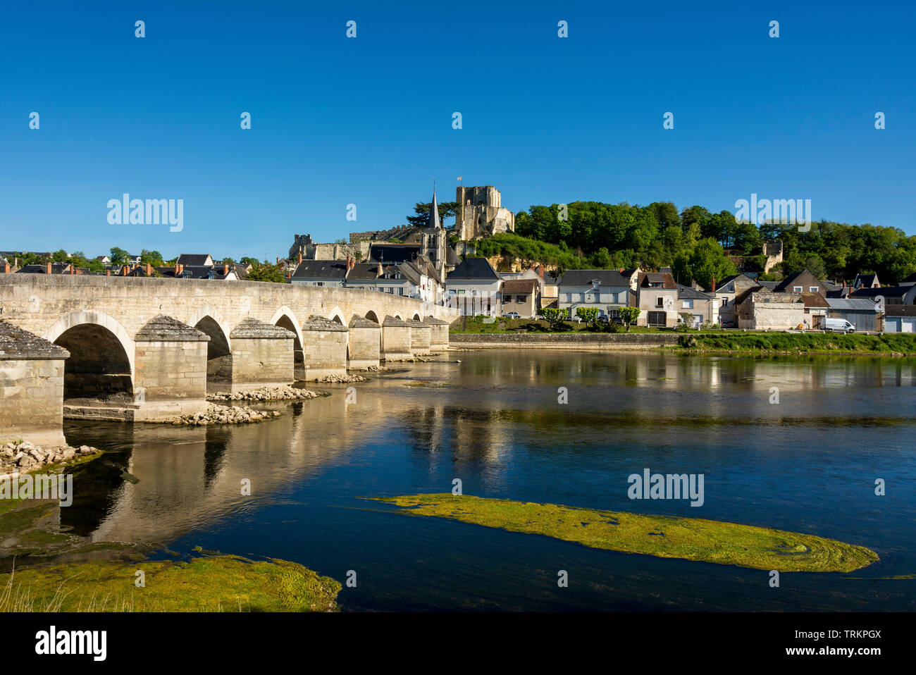 Castello di Montrichard sopra il villaggio sul fiume Cher, Loir-et-Cher, Centre Val de Loire, Francia Foto Stock