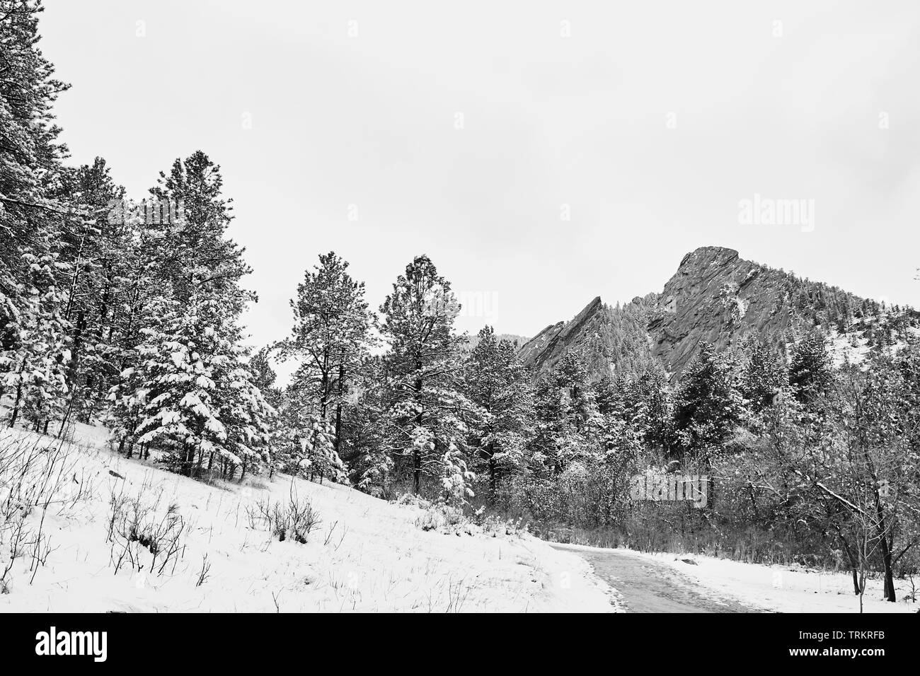 Una molla tempesta di neve copre la gamma della montagna, la valle e Flatirons di Chautauqua Park, a Boulder, Colorado Foto Stock