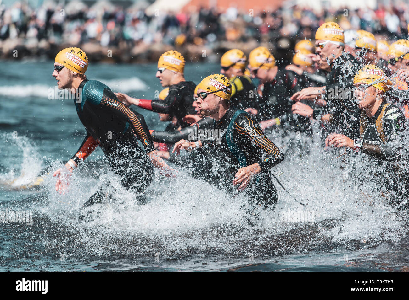 Grandi gruppi di triathlon contendenti in esecuzione in mare durante il Karrebaeksminde Triathlon in Danimarca. I partecipanti indossano muta. Foto Stock