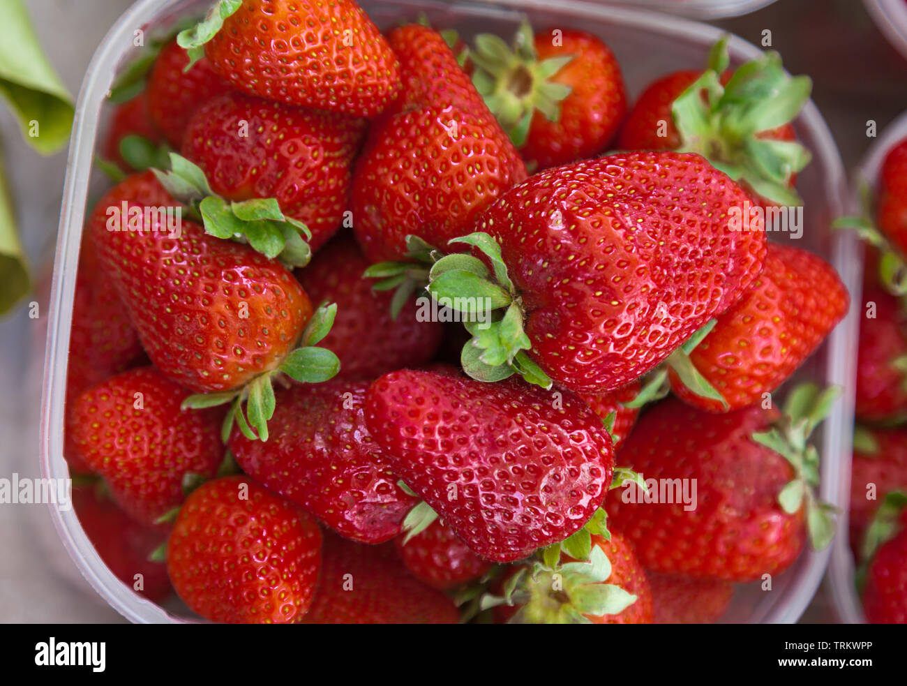 Fresche e mature di fragole organico in plastica confezione al dettaglio. Foto Stock