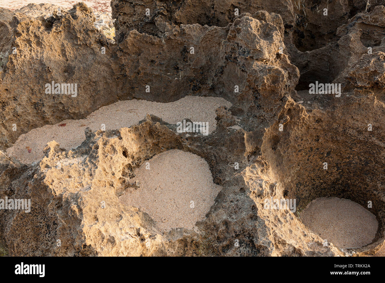 Formazione di roccia visibile in dettaglio. Dettaglio delle formazioni rocciose sulla spiaggia che formano fori in cui la sabbia viene mantenuta. Foto Stock