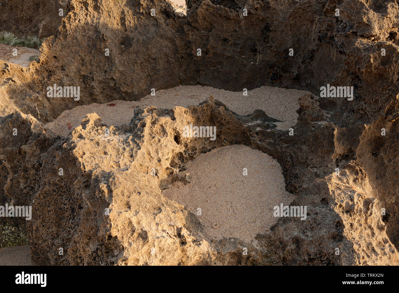 Formazione di roccia visibile in dettaglio. Dettaglio delle formazioni rocciose sulla spiaggia che formano fori in cui la sabbia viene mantenuta. Foto Stock