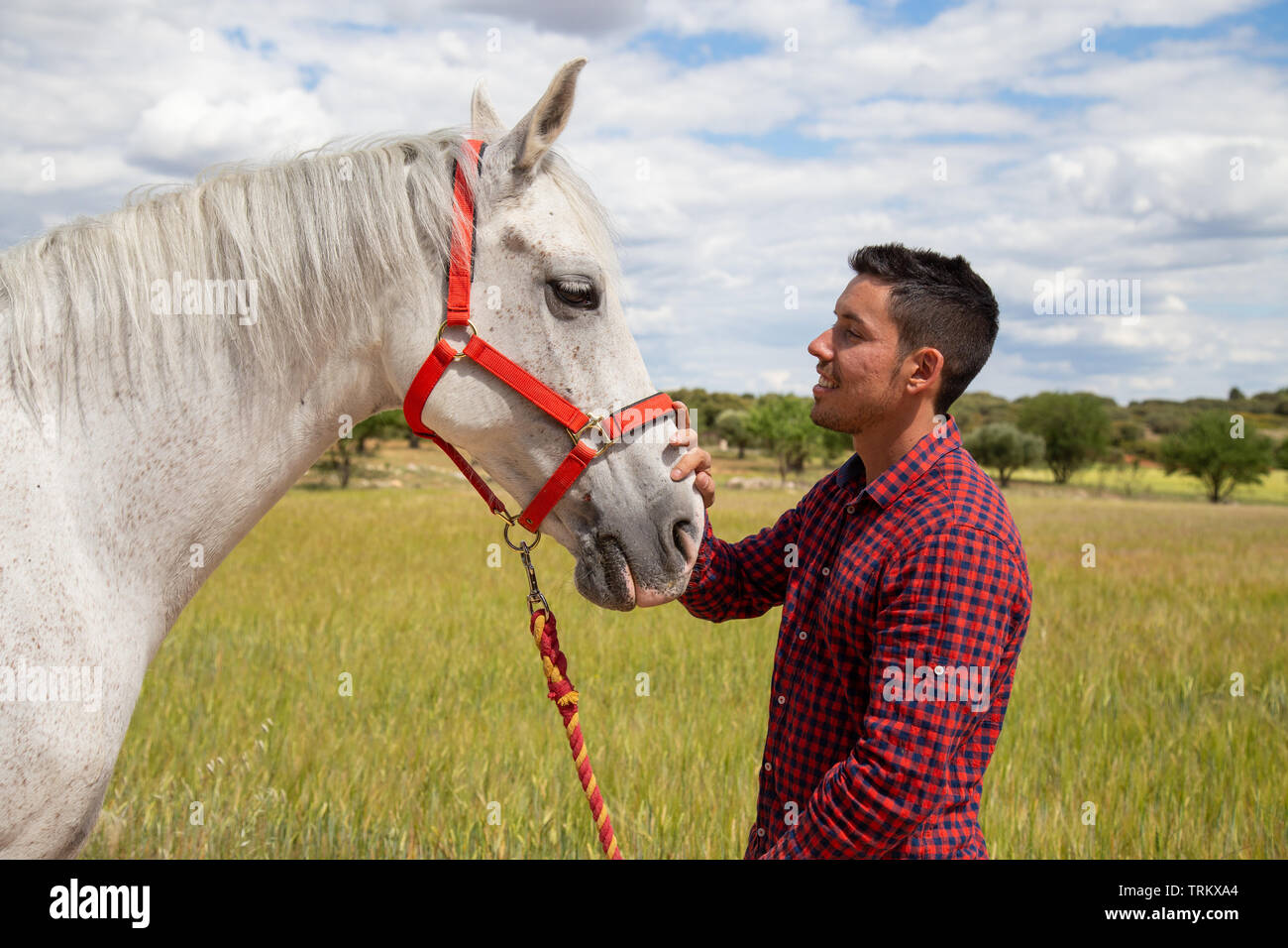 Vista laterale del giovane maschio in camicia a scacchi toccando delicatamente la testa del cavallo bianco con red briglia permanente, mentre in campagna su campo giorno nuvoloso Foto Stock