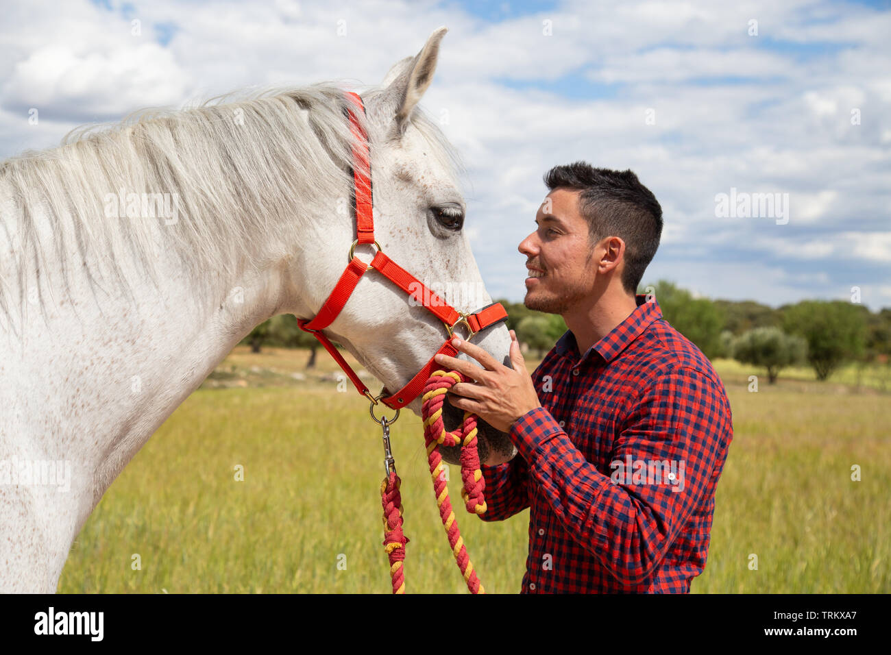 Vista laterale del giovane maschio in camicia a scacchi toccando delicatamente la testa del cavallo bianco con red briglia permanente, mentre in campagna su campo giorno nuvoloso Foto Stock