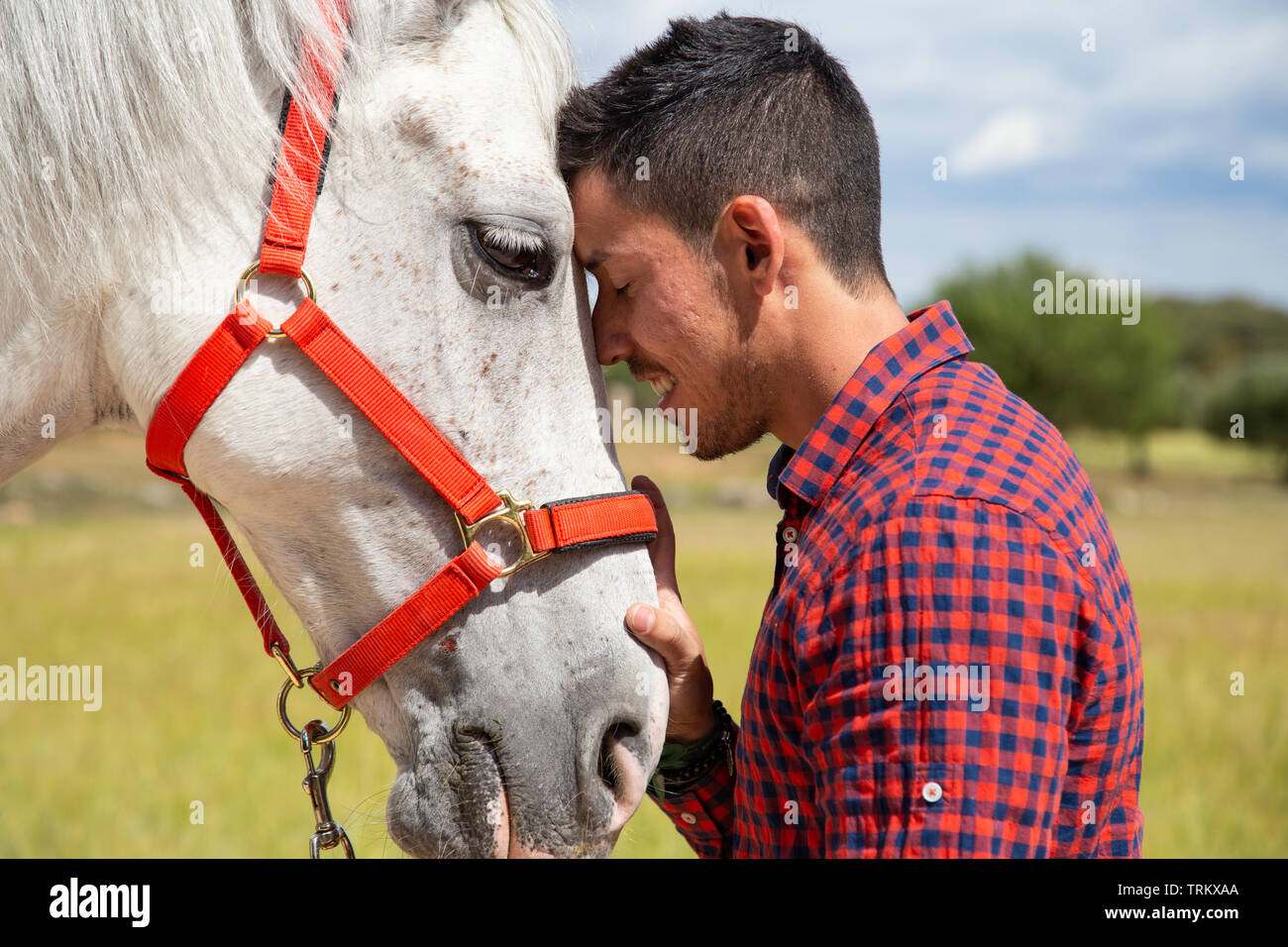 Vista laterale del giovane maschio in camicia a scacchi toccando delicatamente la testa del cavallo bianco con red briglia permanente, mentre in campagna su campo giorno nuvoloso Foto Stock