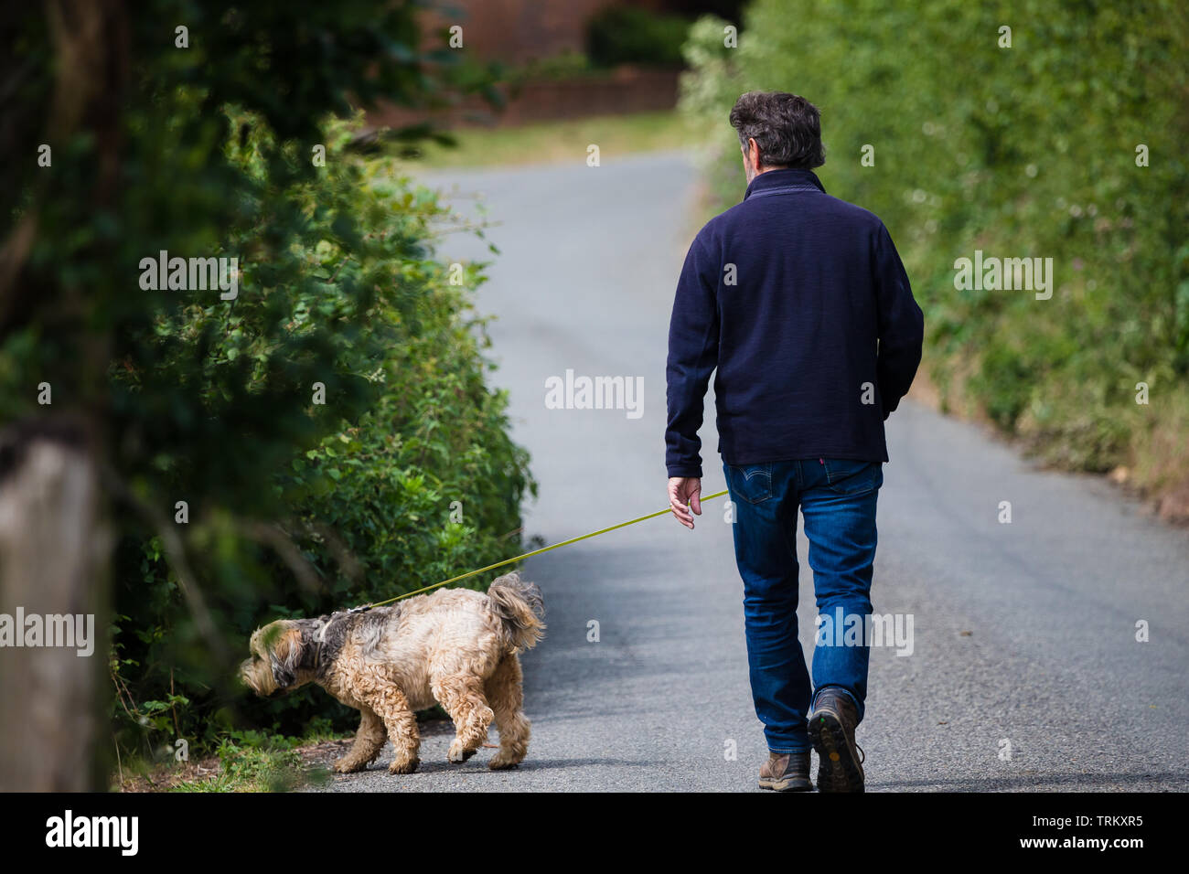 Uomo che cammina il suo cane nella campagna di Kent. Regno Unito Foto Stock
