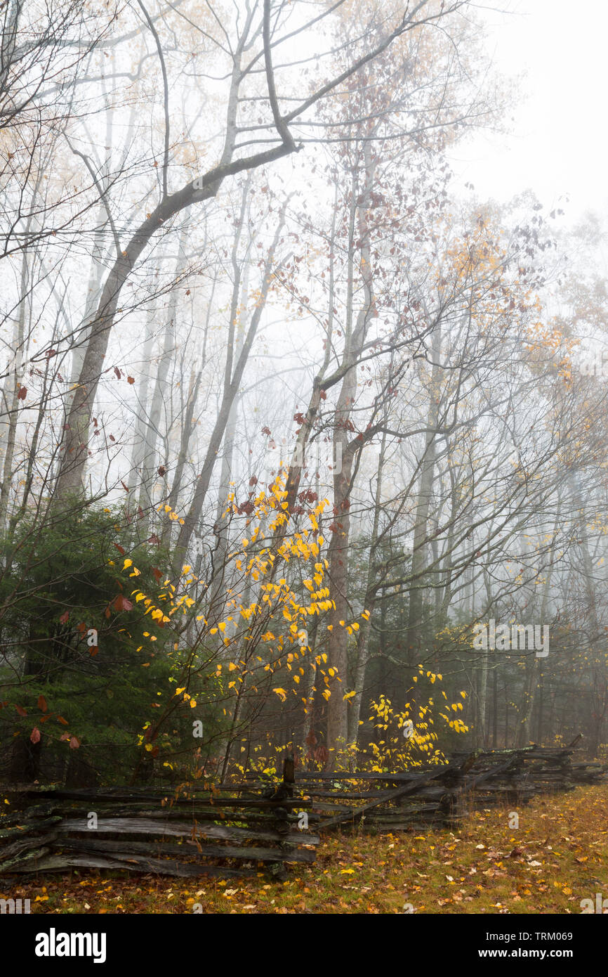 Alex Cole cabina, Roaring Fork Motor Trail, Gatlinburg, Tennessee mostra tradizionale 'split' rampa scherma Foto Stock