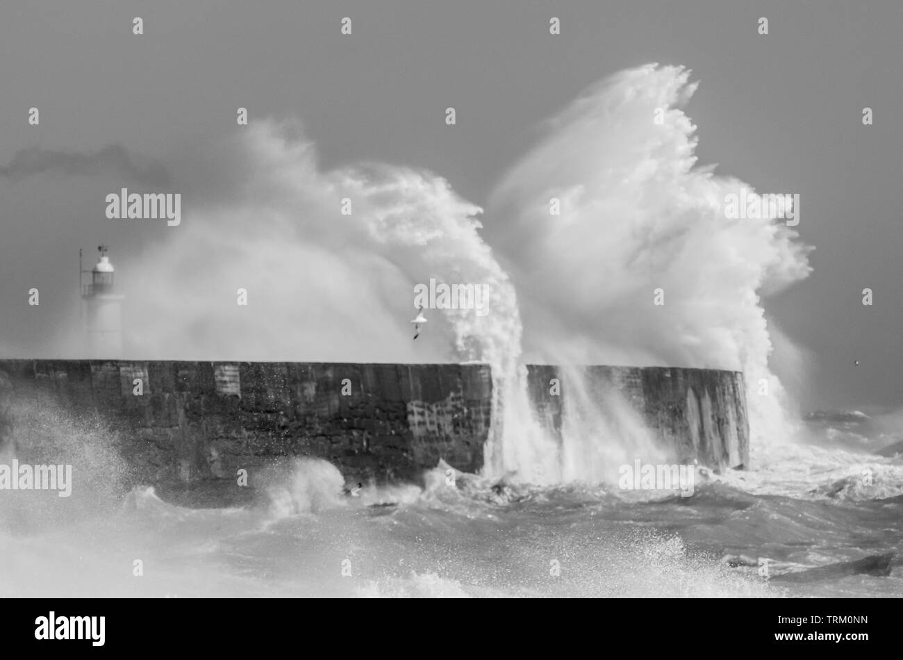 Newhaven, East Sussex, Regno Unito. 8th giugno 2019. Un glorioso pomeriggio sulla costa meridionale con vento più caldo proveniente dal sud-ovest che si affaccia sul canale inglese, creando alcune scene spettacolari. Foto Stock