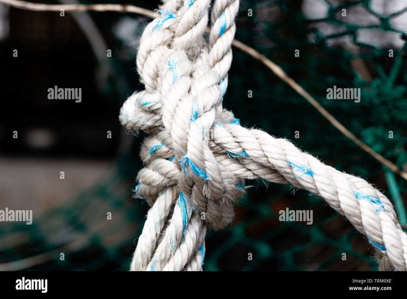 Close-up di un nodo su una lobster pot su Cape Cod in Wellfleet MA. Foto Stock