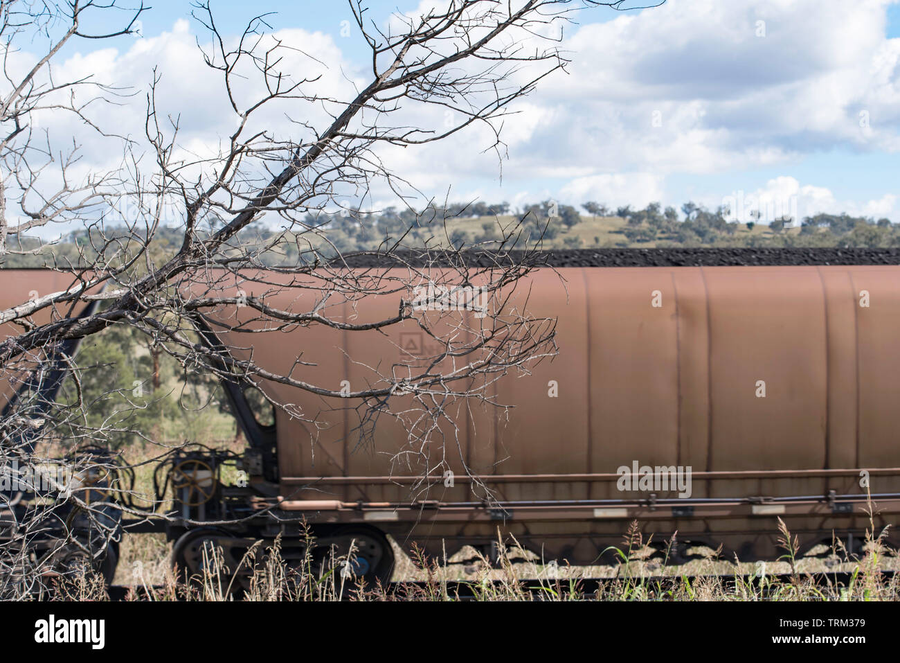 Il trasporto ferroviario di merci automobili portano il carbone al porto di Newcastle dalle miniere in alto la Hunter Valley nel Nuovo Galles del Sud, Australia Foto Stock