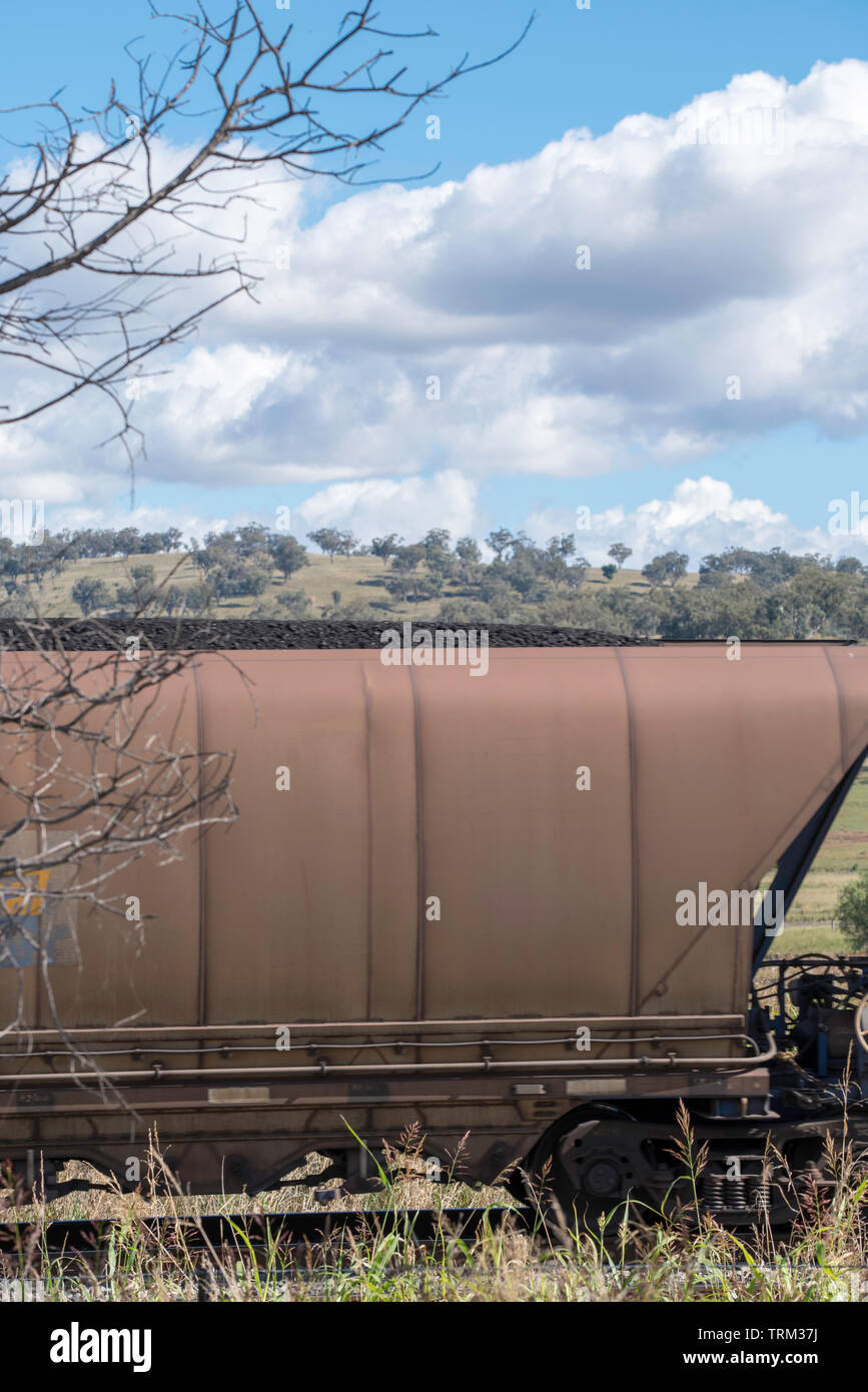 Il trasporto ferroviario di merci automobili portano il carbone al porto di Newcastle dalle miniere in alto la Hunter Valley nel Nuovo Galles del Sud, Australia Foto Stock