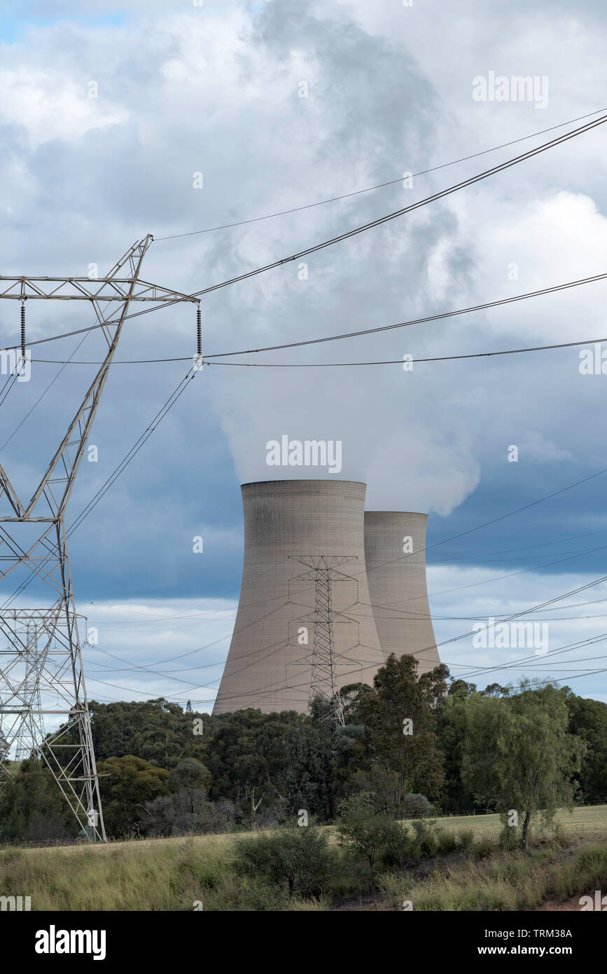 Vapore sorge il gigante delle torri di raffreddamento al carbone powered Bayswater stazione di potenza nella Hunter Valley vicino a Singleton, Nuovo Galles del Sud, Australia Foto Stock