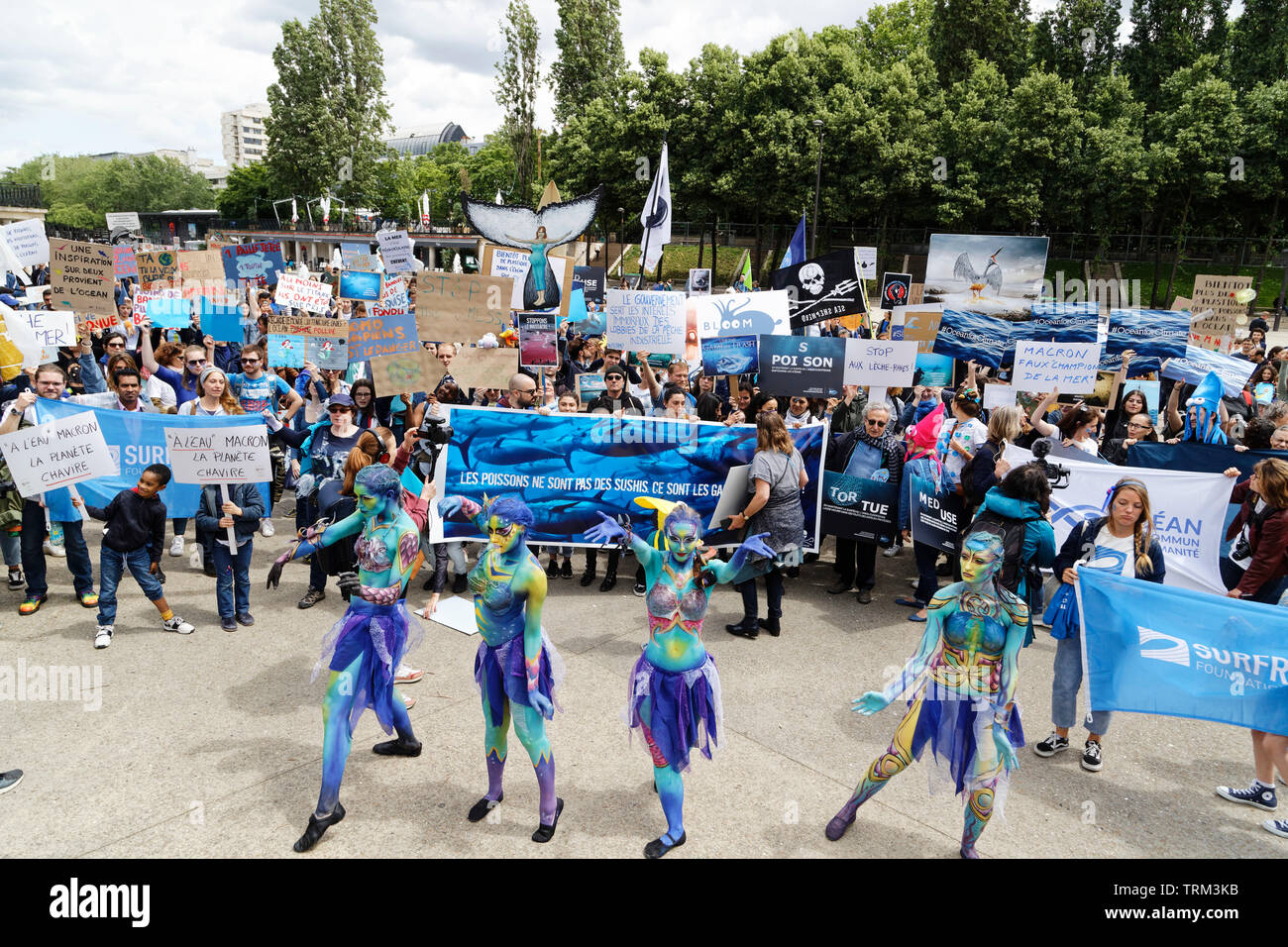 Parigi, Francia. 8 Giugno, 2019. Vestito in blu, con bandiere e cartelli o travestimenti, decine di persone marzo per denunciare il sovrasfruttamento e inquinamento marino Foto Stock