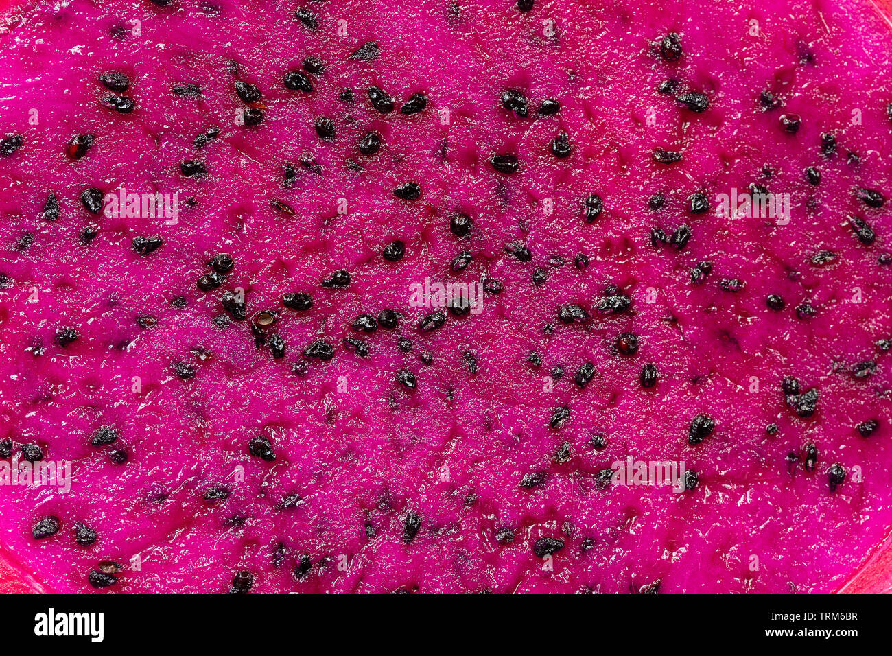 Rosa esotico dragonfruit tagliare foto macro su sfondo. Dragon frutta vicino. Pitahaya texture foto. Dolci di frutta tropicale, succosa pitaya tagliare Foto Stock