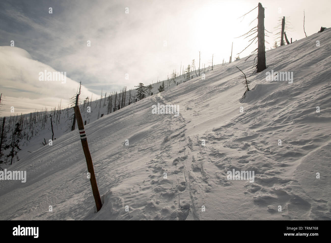 Coperta di neve di colore verde e rosso sentiero bellow Barania Gora hill in inverno Beskid Slaski montagne vicino Wisla resort in Polonia Foto Stock