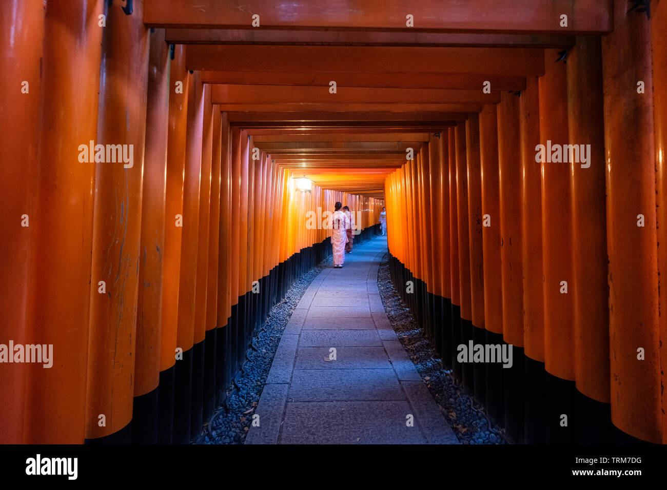Donna vestita kimono camminare in rosso antico legno torii gate a Fushimi Inari santuario a Kyoto, Giappone Foto Stock