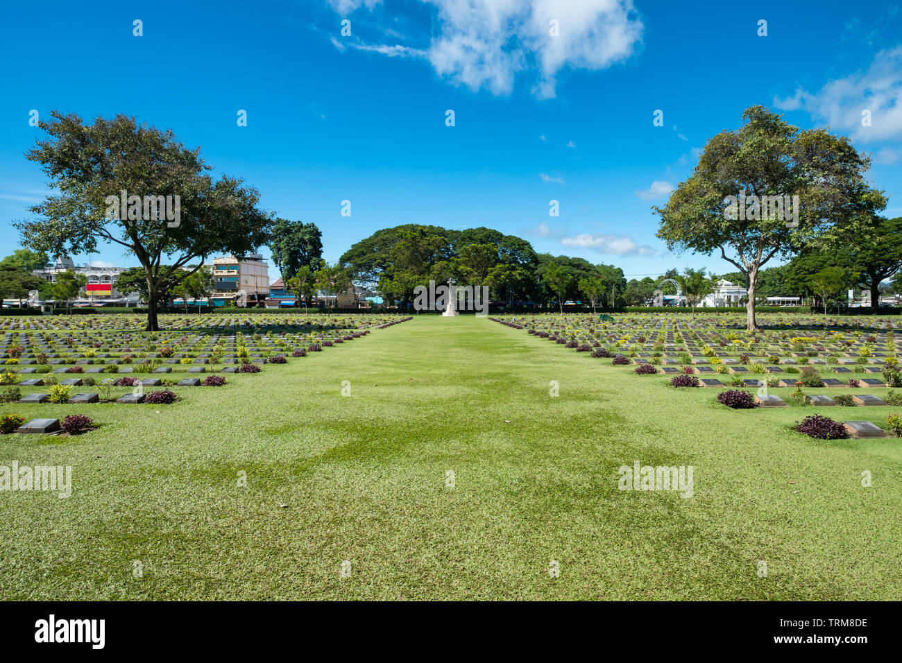 Il cimitero cristiano di pietre tombali vitmics albero con la storia della seconda guerra mondiale a Kanchanaburi Thailandia Foto Stock