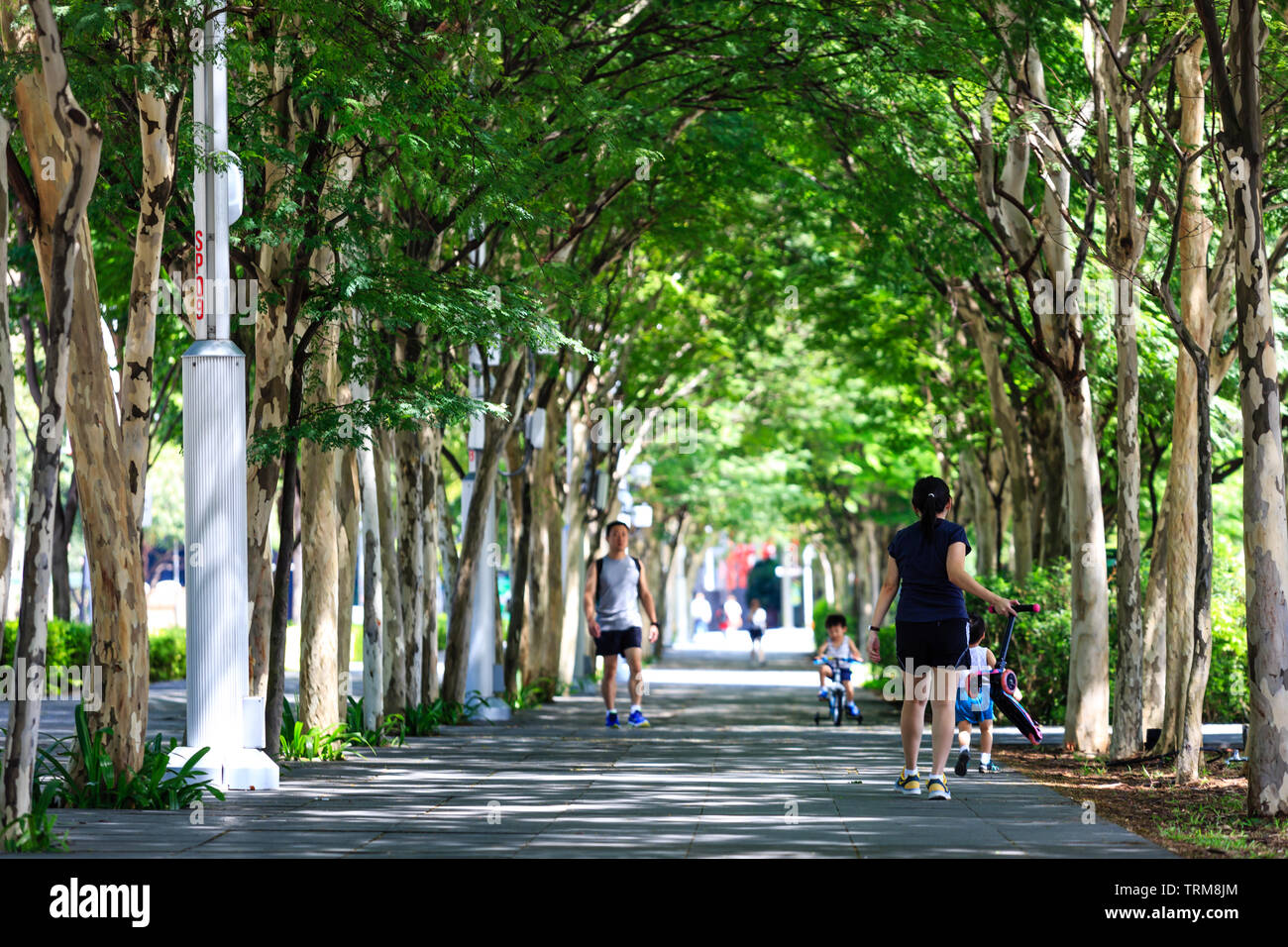 Singapore-13 APR 2019:la gente a piedi gratuita sul Boulevard verde Foto Stock