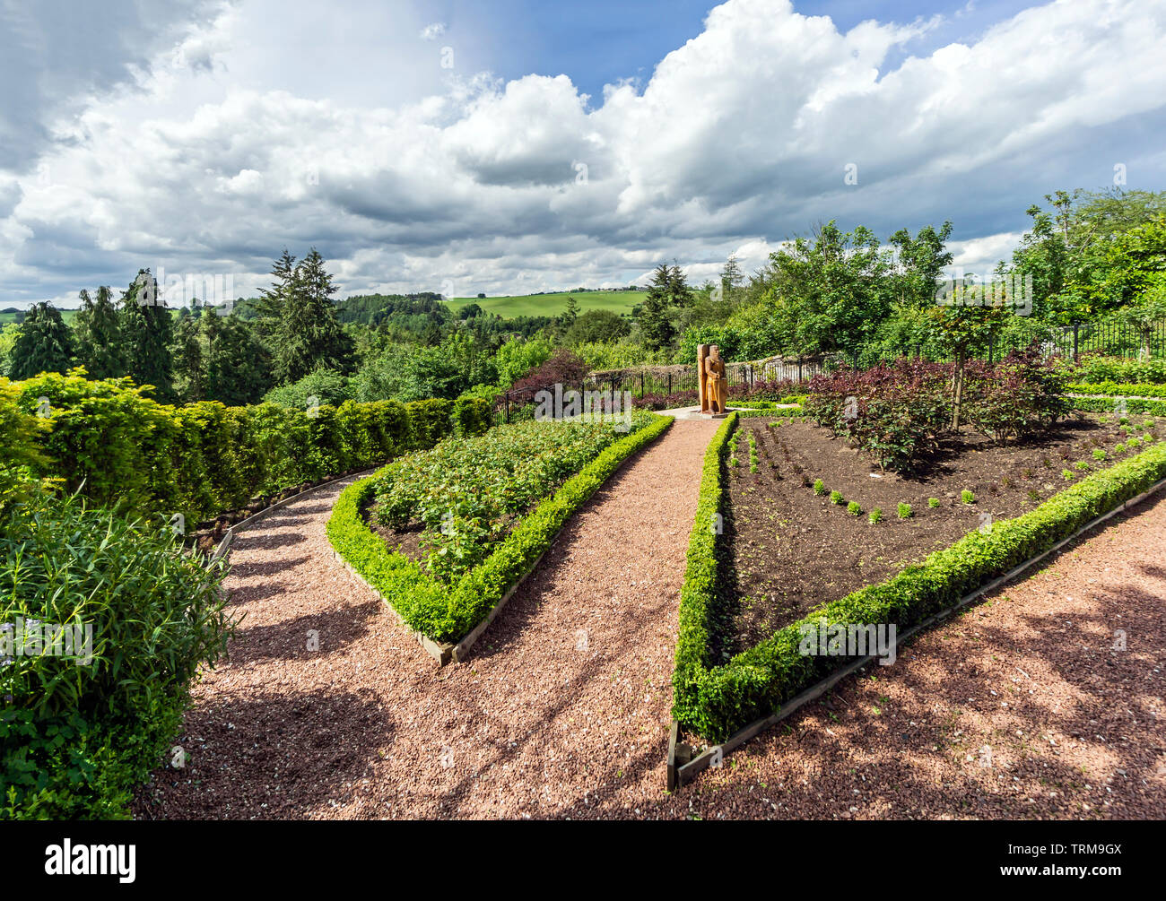 Statua lignea di Braveheart Sir William Wallace nel Giardino di Rose Castlebank Park Lanark South Lanarkshire Regno Unito Scozia Foto Stock