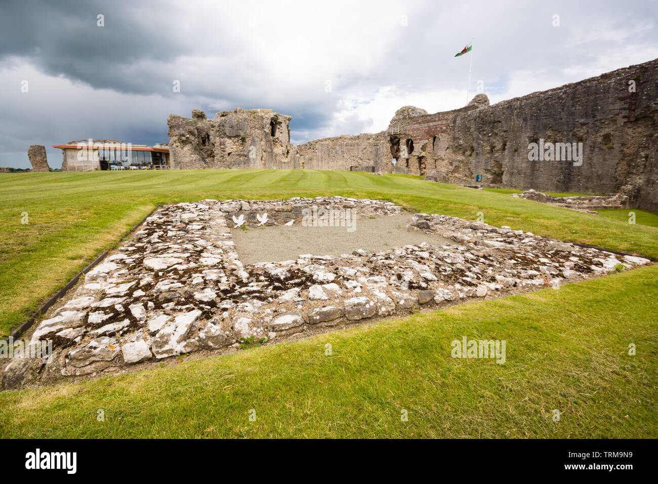Le rovine di Denbigh castello edificato nel XIII secolo da Enrico il primo come parte delle sue fortificazioni militari di sottomettere il Welsh Foto Stock