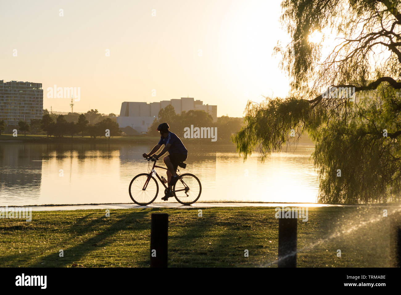 Un ciclista solista corre lungo la pista ciclabile Principal Shared Path (PSP) accanto al fiume Swan a Perth, Australia Occidentale Foto Stock