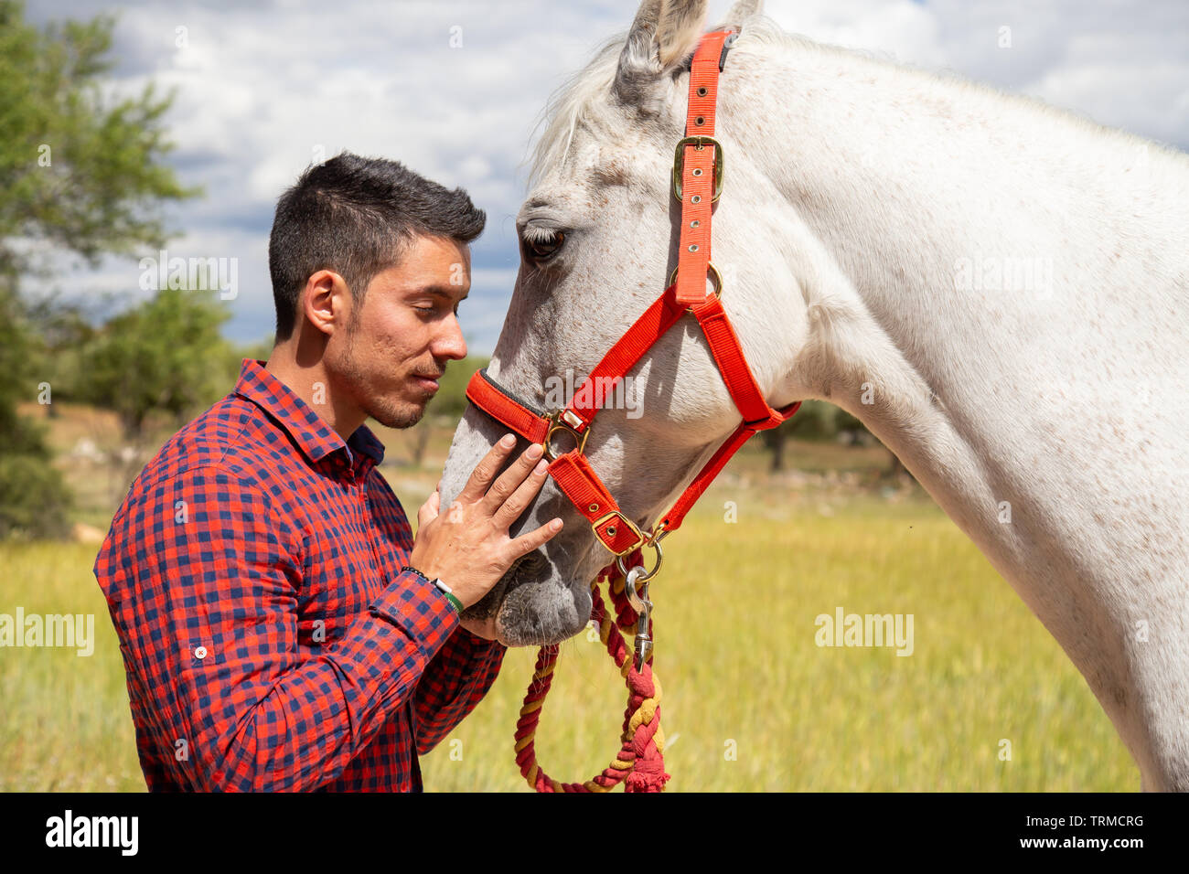 Vista laterale del giovane maschio in camicia a scacchi toccando delicatamente la testa del cavallo bianco con red briglia permanente, mentre in campagna su campo giorno nuvoloso Foto Stock