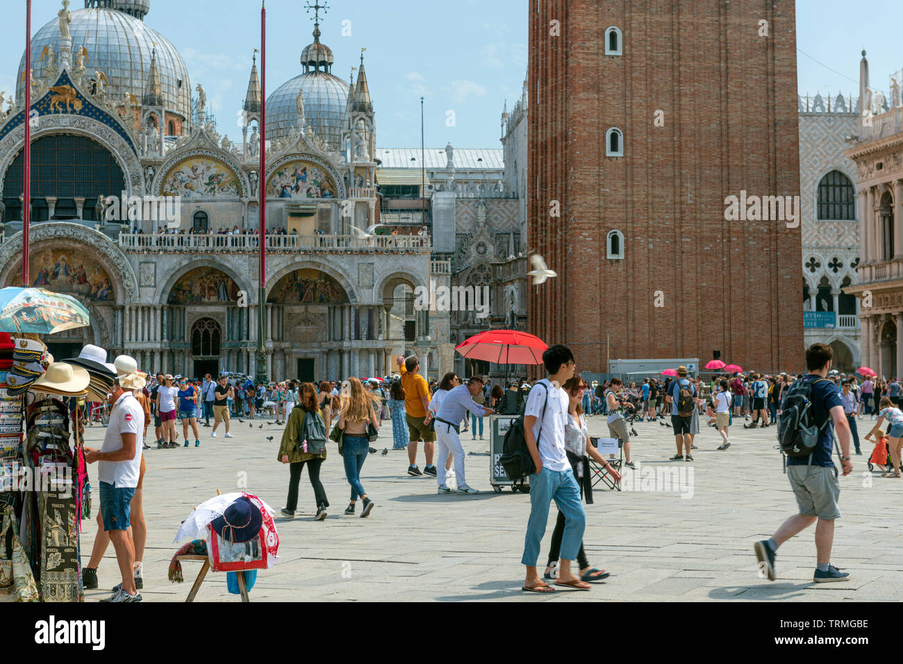 Piazza San Marco Foto Stock