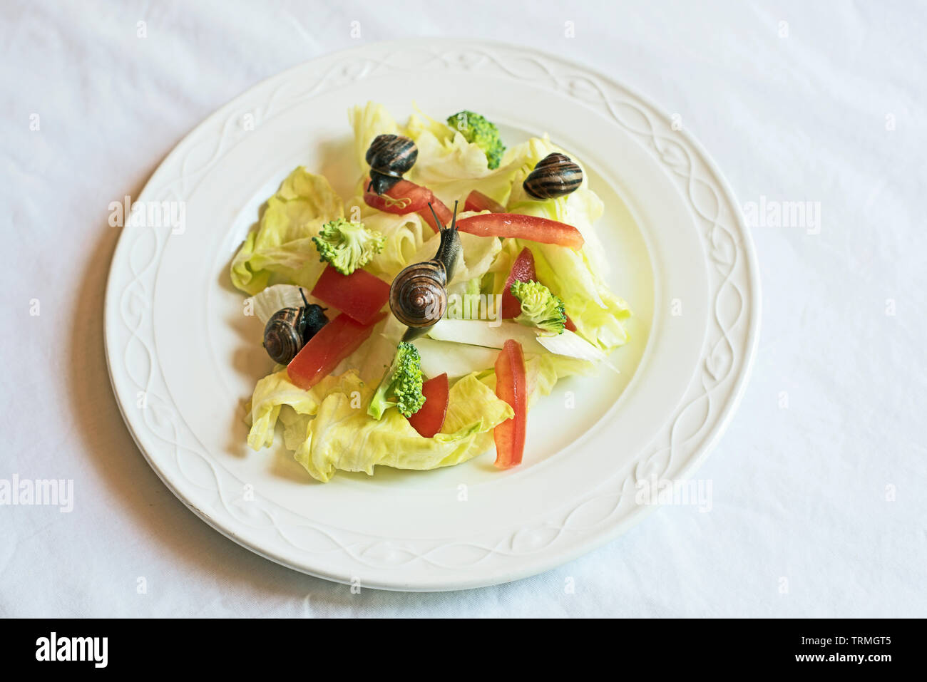 Piatto di insalata contro uno sfondo bianco con quattro live a labbro marrone lumache, Cepaea nemoralis,, una parodia sul concetto di il veganismo, food fads ricette. Foto Stock